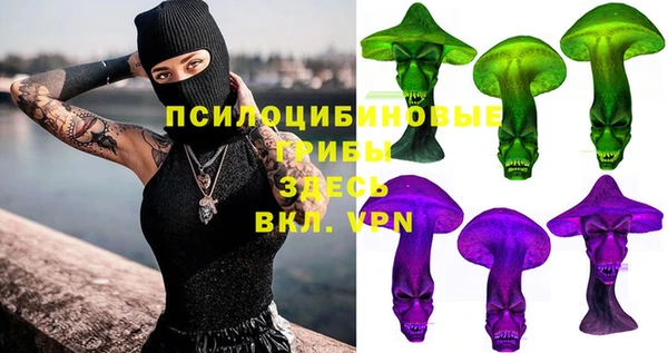 первитин Инта