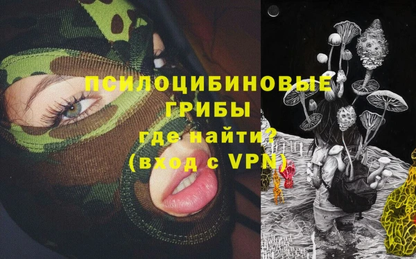 первитин Инта