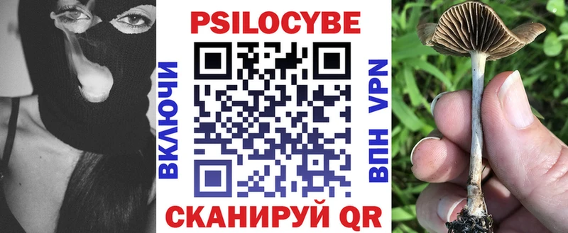Купить где  Заволжье  Галлюциногенные грибы MAGIC MUSHROOMS 